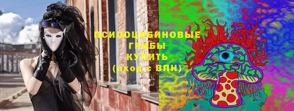 прущие грибы Алексин