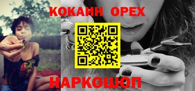 МДПВ Камышлов