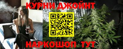 МДПВ Камышлов