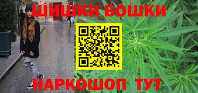 МДПВ Камышлов