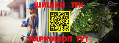 МДПВ Камышлов