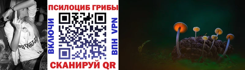 Псилоцибиновые грибы Psilocybine cubensis  гидра сайт  Находка 