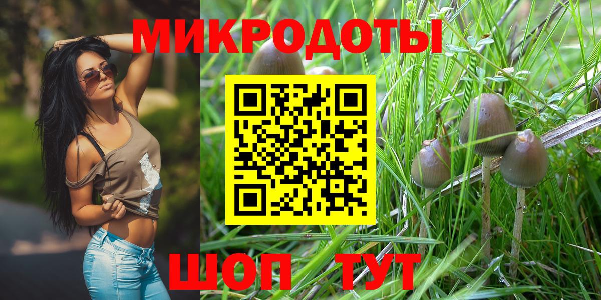 Псилоцибиновые грибы мицелий Находка