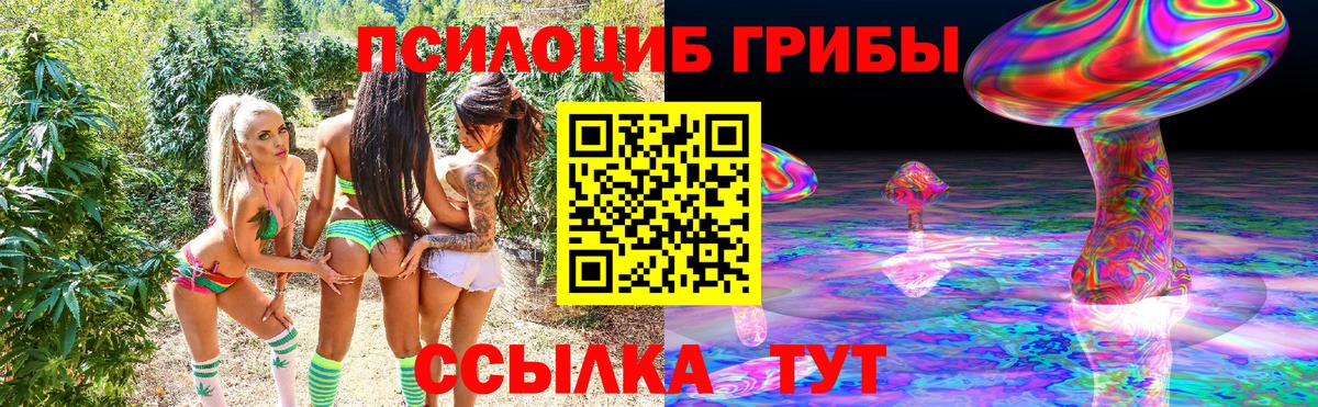 Находка  Псилоцибиновые грибы ЛСД  Вход с VPN  Псилоцибиновые грибы MAGIC MUSHROOMS 